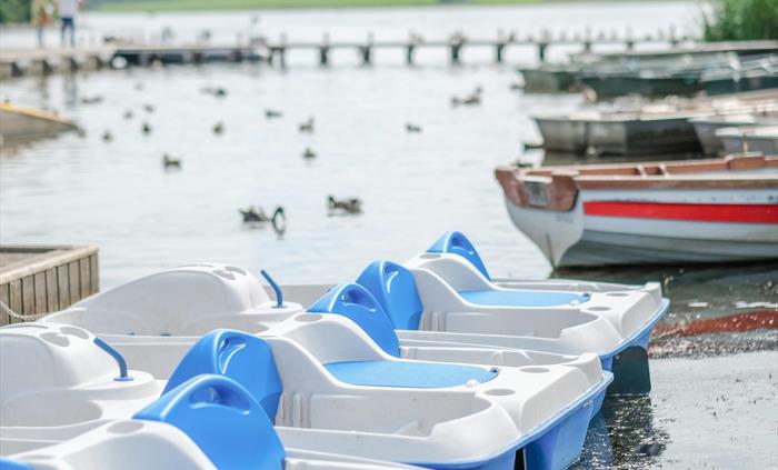 Pedaloes and fishing boats